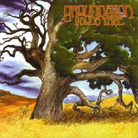 Groundation - Young Tree